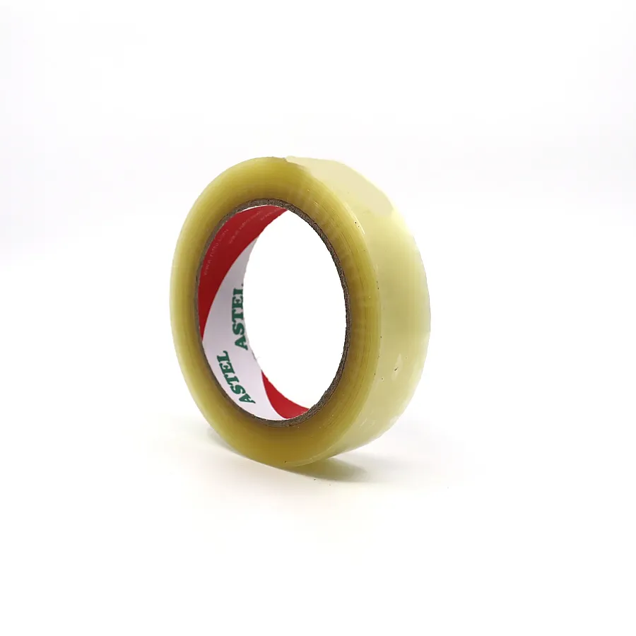 ASTEL KOLİ BANTI ŞEFFAF - 6