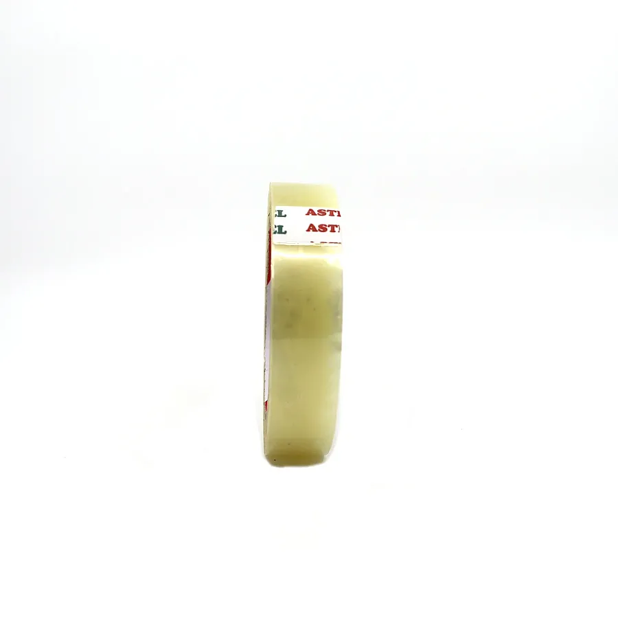 ASTEL KOLİ BANTI ŞEFFAF - 7