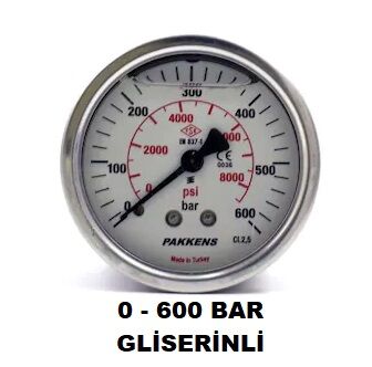 Çap 100 Arka Çıkış Pano Tipi Gliserinli Manometre